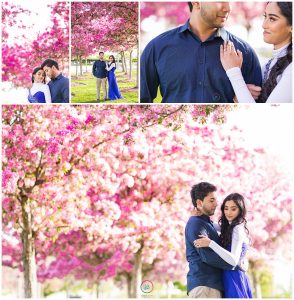 Toronto-cherry-blossom-farm-Engagement-Session-Toronto-Mississauga-Brampton-Toronto-Muslim-Wedding-Photographer-2