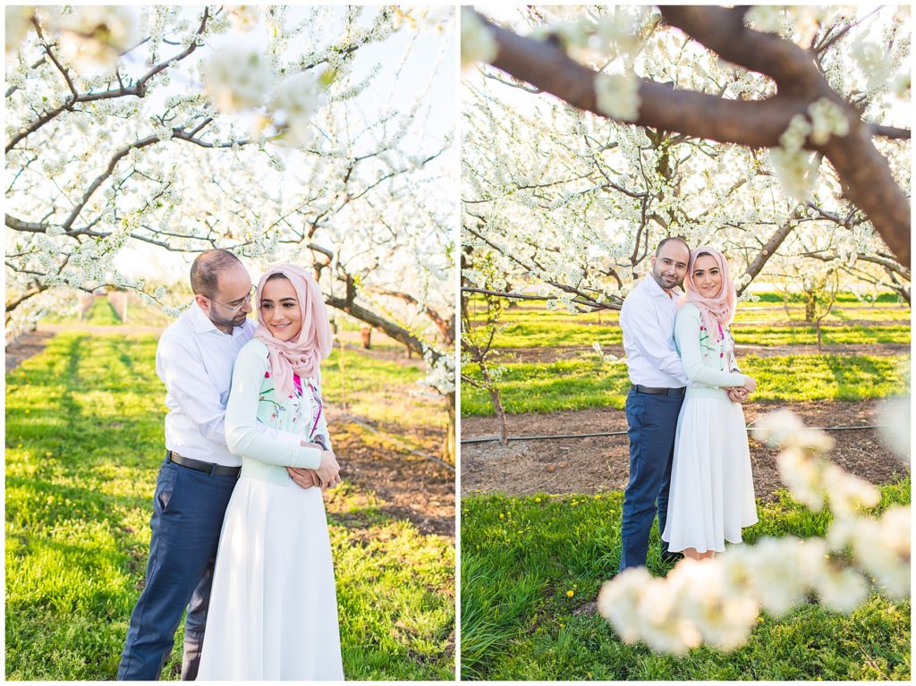 Cherry blossoms engagements ession, Toronto Arab Wedding, Niagara Falls, Niagara on the lake, Jen Evoy, Pakistani Arab wedding photography Toronto, Shirley Wu, Nilo Haq