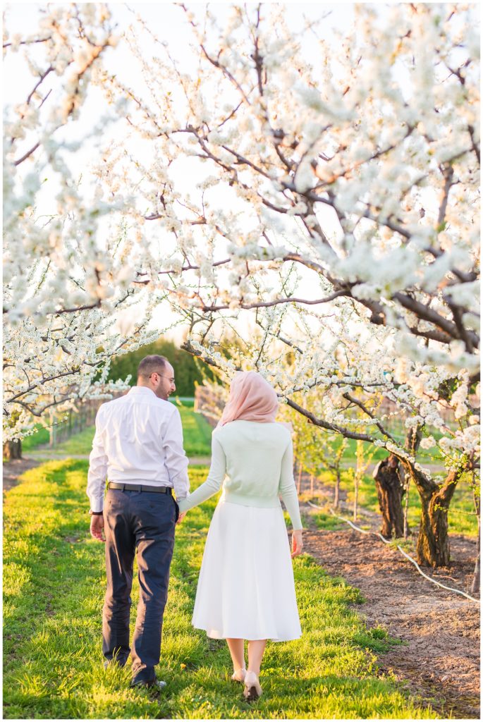 Cherry blossoms engagement session, Toronto Arab Wedding, Niagara Falls, Niagara on the lake, Jen Evoy, Pakistani Arab wedding photography Toronto, Shirley Wu, Nilo Haq