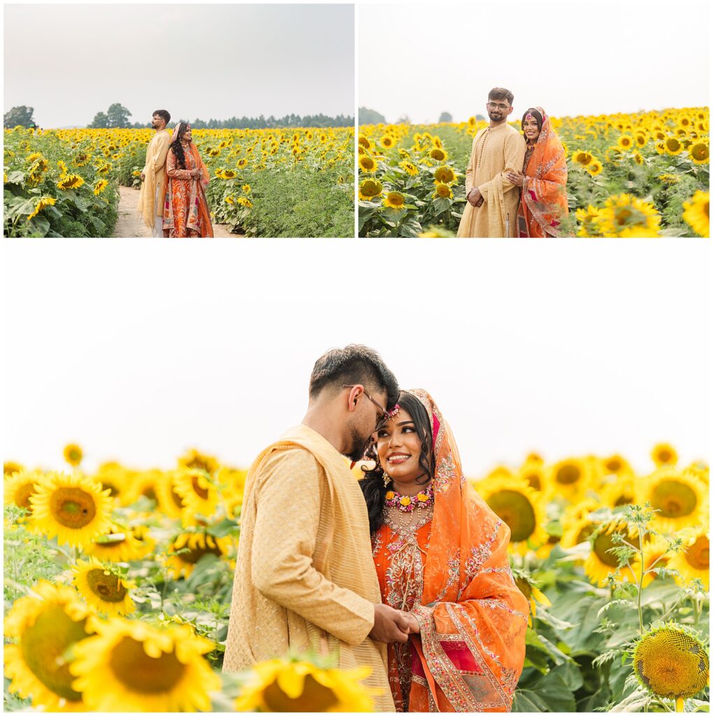 A couple posing in a sunflower field for their pakistani mehendi in oakville