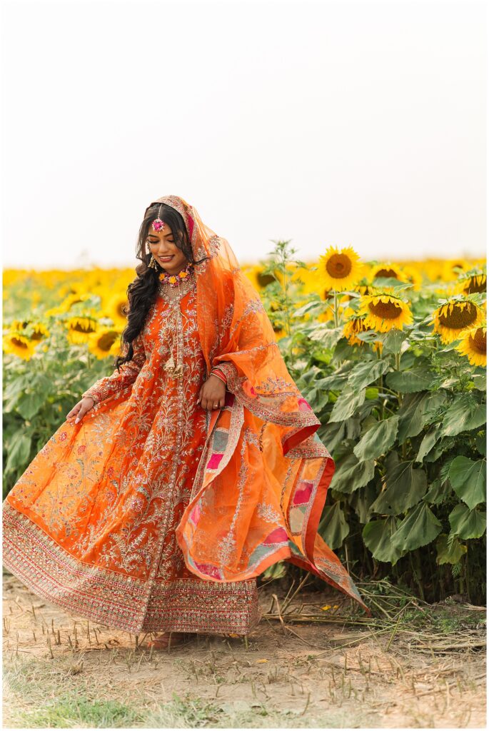 A bride poses in a sunflower field for her pakistani mehendi in oakville