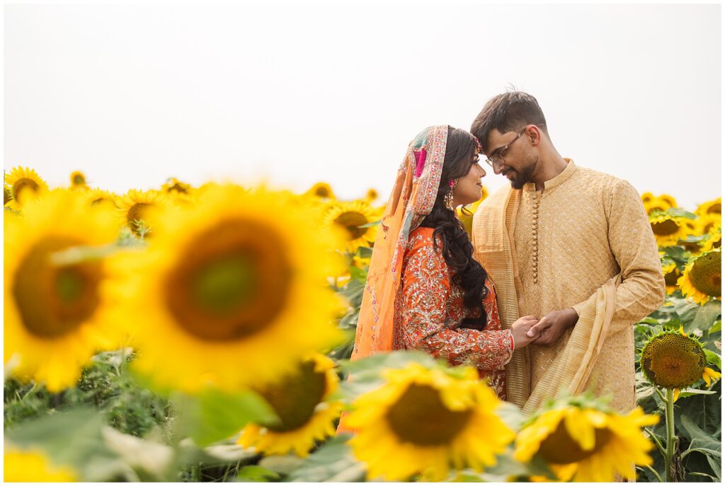 A couple posing in a sunflower field for their pakistani mehendi in oakville