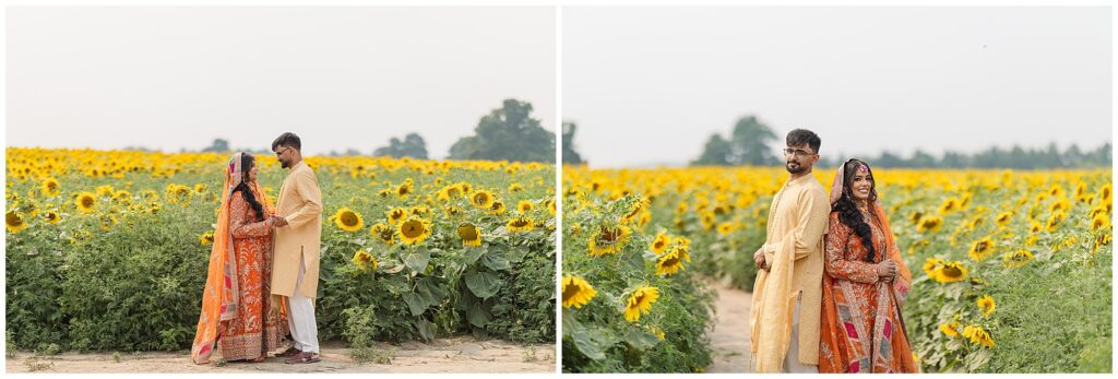 A couple posing in a sunflower field for their pakistani mehendi in oakville